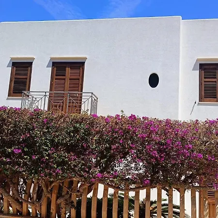 Ipomea San Vito Lo Capo